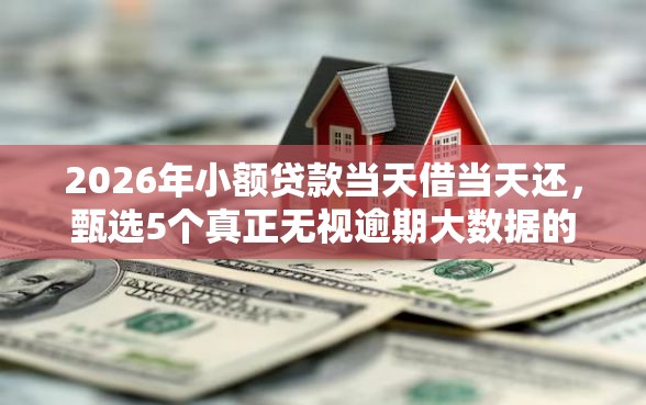 2026年小额贷款当天借当天还，甄选5个真正无视逾期大数据的网贷软件