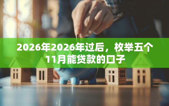 2026年2026年过后，枚举五个11月能贷款的口子