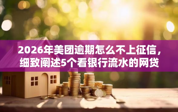 2026年美团逾期怎么不上征信，细致阐述5个看银行流水的网贷软件