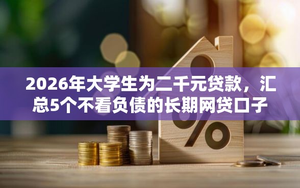 2026年大学生为二千元贷款，汇总5个不看负债的长期网贷口子
