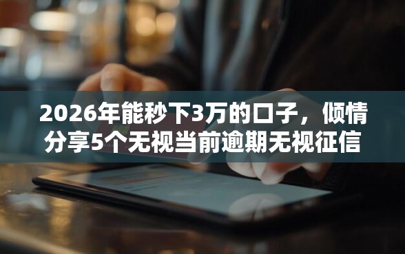 2026年能秒下3万的口子，倾情分享5个无视当前逾期无视征信的借款口子