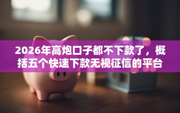 2026年高炮口子都不下款了，概括五个快速下款无视征信的平台