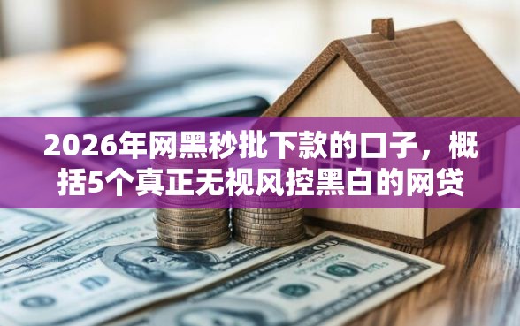 2026年网黑秒批下款的口子，概括5个真正无视风控黑白的网贷口子