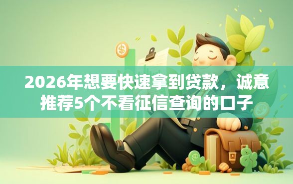 2026年想要快速拿到贷款，诚意推荐5个不看征信查询的口子