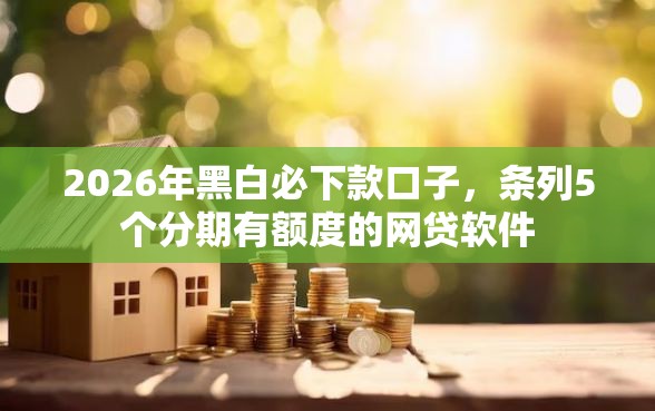 2026年黑白必下款口子，条列5个分期有额度的网贷软件