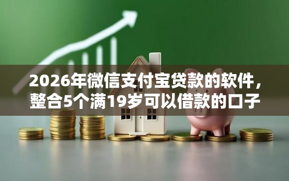 2026年微信支付宝贷款的软件，整合5个满19岁可以借款的口子