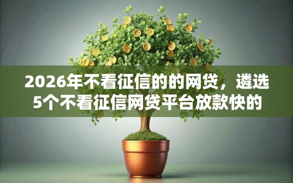 2026年不看征信的的网贷，遴选5个不看征信网贷平台放款快的软件