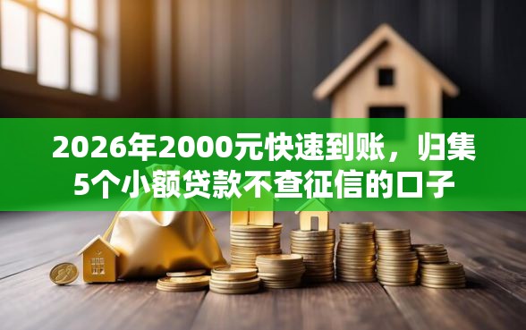 2026年2000元快速到账，归集5个小额贷款不查征信的口子