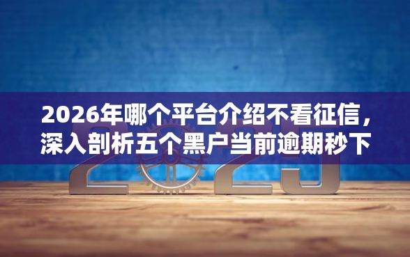 2026年哪个平台介绍不看征信,深入剖析五个黑户当前逾期秒下5万平台 2026年哪个平台介绍不看征信,深入剖析五个黑户当前逾期秒下5万平台