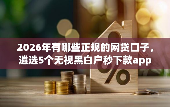 2026年有哪些正规的网贷口子，遴选5个无视黑白户秒下款app