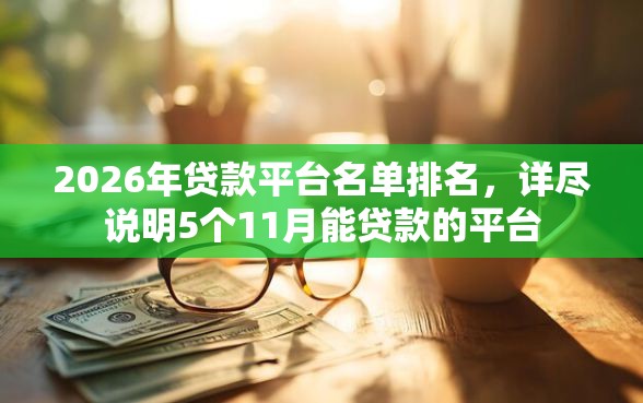 2026年贷款平台名单排名，详尽说明5个11月能贷款的平台