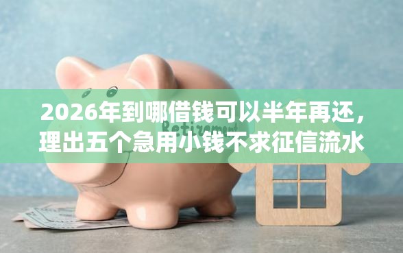 2026年到哪借钱可以半年再还，理出五个急用小钱不求征信流水轻松贷的app