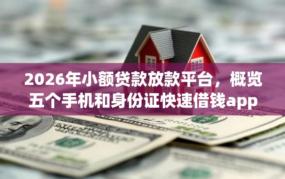 2026年小额贷款放款平台，概览五个手机和身份证快速借钱app