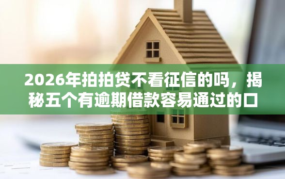 2026年拍拍贷不看征信的吗，揭秘五个有逾期借款容易通过的口子