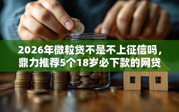 2026年微粒贷不是不上征信吗，鼎力推荐5个18岁必下款的网贷软件