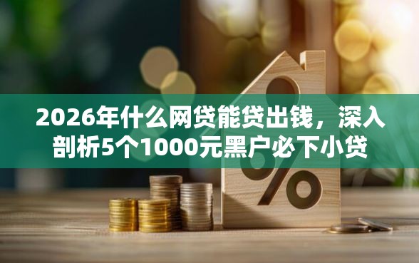 2026年什么网贷能贷出钱，深入剖析5个1000元黑户必下小贷