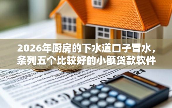 2026年厨房的下水道口子冒水，条列五个比较好的小额贷款软件