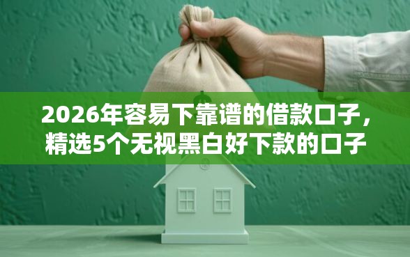 2026年容易下靠谱的借款口子，精选5个无视黑白好下款的口子