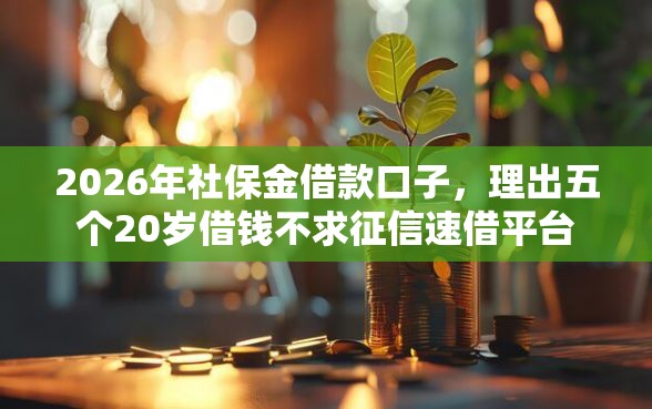 2026年社保金借款口子，理出五个20岁借钱不求征信速借平台