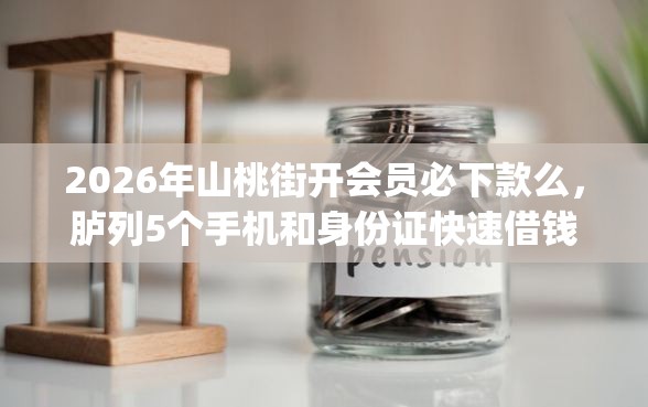 2026年山桃街开会员必下款么，胪列5个手机和身份证快速借钱app