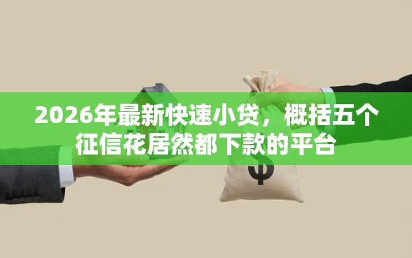 2026年最新快速小贷，概括五个征信花居然都下款的平台