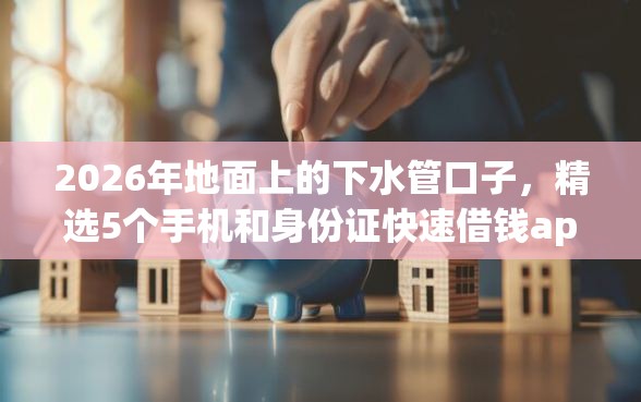 2026年地面上的下水管口子，精选5个手机和身份证快速借钱app