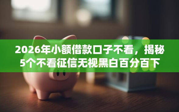 2026年小额借款口子不看，揭秘5个不看征信无视黑白百分百下款app