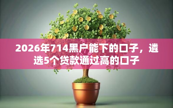 2026年714黑户能下的口子，遴选5个贷款通过高的口子