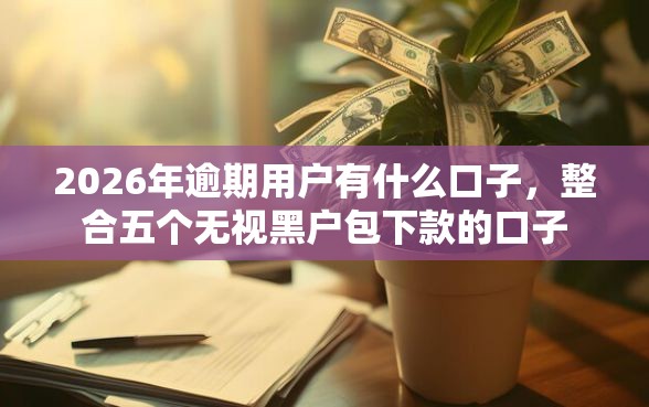 2026年逾期用户有什么口子，整合五个无视黑户包下款的口子