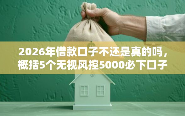 2026年借款口子不还是真的吗，概括5个无视风控5000必下口子