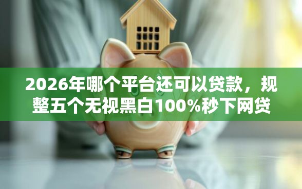 2026年哪个平台还可以贷款，规整五个无视黑白100%秒下网贷软件