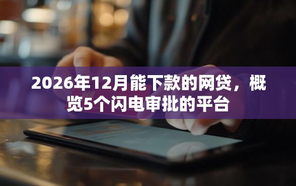 2026年12月能下款的网贷，概览5个闪电审批的平台