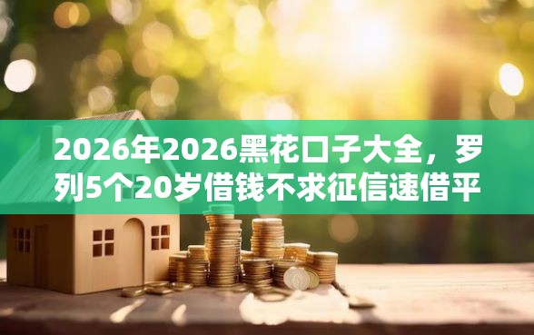 2026年2026黑花口子大全，罗列5个20岁借钱不求征信速借平台