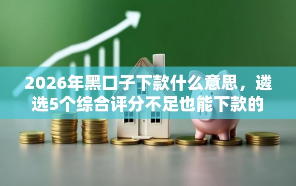 2026年黑口子下款什么意思，遴选5个综合评分不足也能下款的网贷