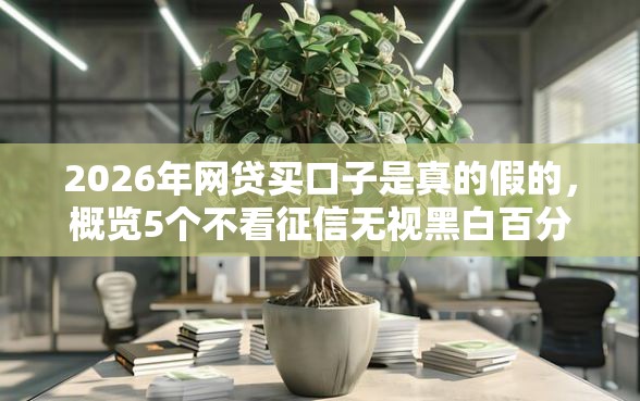 2026年网贷买口子是真的假的，概览5个不看征信无视黑白百分百下款软件
