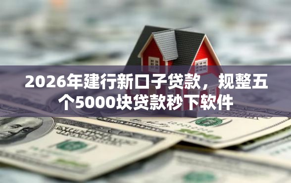 2026年建行新口子贷款，规整五个5000块贷款秒下软件
