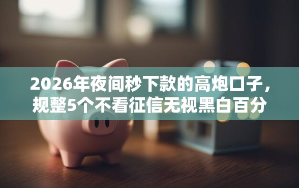 2026年夜间秒下款的高炮口子,规整5个不看征信无视黑白百分百下款平台 2026年夜间秒下款的高炮口子,规整5个不看征信无视黑白百分百下款平台