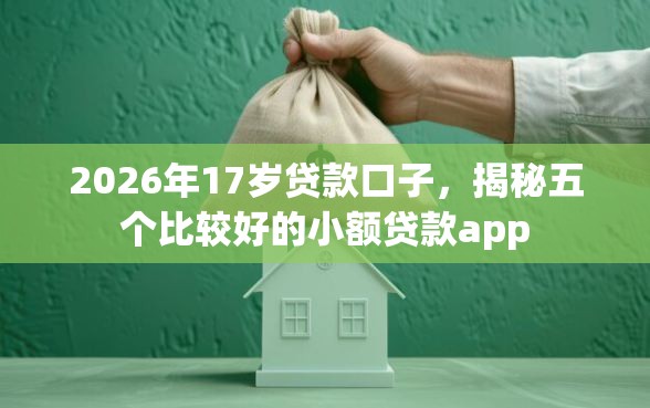 2026年17岁贷款口子，揭秘五个比较好的小额贷款app
