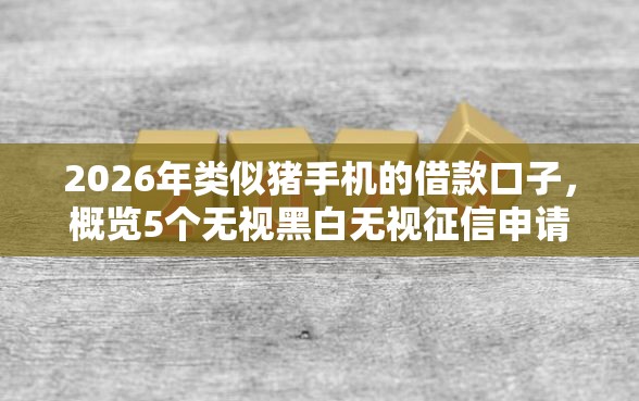 2026年类似猪手机的借款口子，概览5个无视黑白无视征信申请就下款的口子