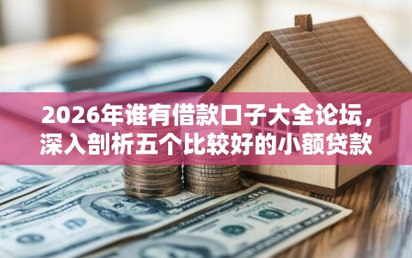 2026年谁有借款口子大全论坛，深入剖析五个比较好的小额贷款口子
