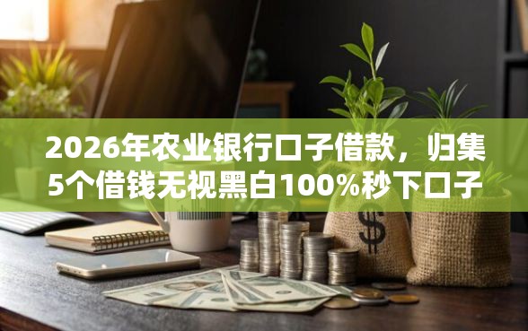2026年农业银行口子借款，归集5个借钱无视黑白100%秒下口子
