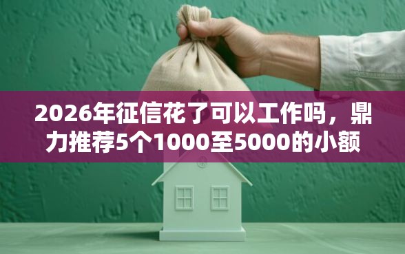 2026年征信花了可以工作吗，鼎力推荐5个1000至5000的小额贷款平台