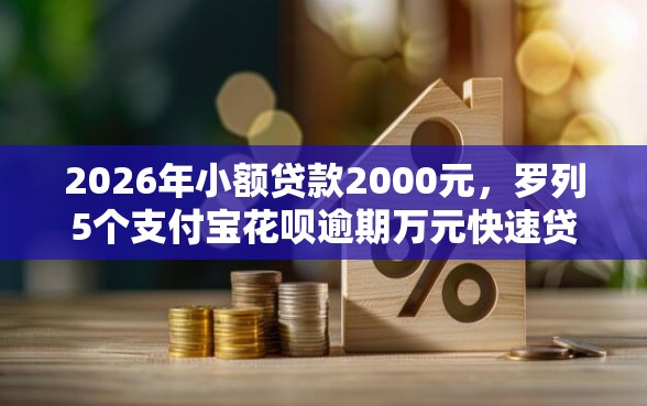 2026年小额贷款2000元，罗列5个支付宝花呗逾期万元快速贷款平台