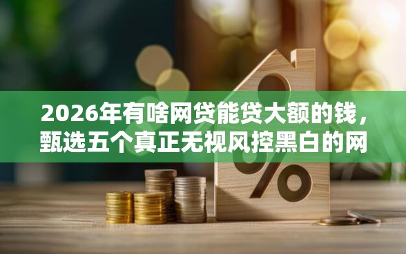 2026年有啥网贷能贷大额的钱，甄选五个真正无视风控黑白的网贷平台