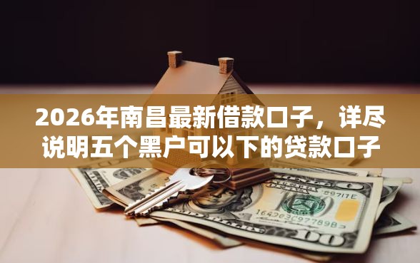 2026年南昌最新借款口子，详尽说明五个黑户可以下的贷款口子