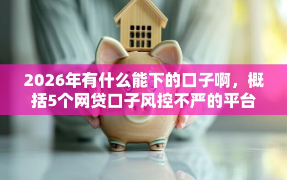 2026年有什么能下的口子啊，概括5个网贷口子风控不严的平台