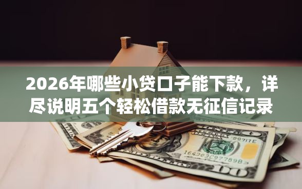 2026年哪些小贷口子能下款，详尽说明五个轻松借款无征信记录的app