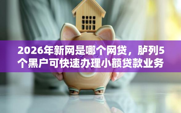 2026年新网是哪个网贷，胪列5个黑户可快速办理小额贷款业务的平台