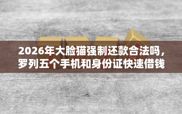 2026年大脸猫强制还款合法吗，罗列五个手机和身份证快速借钱软件