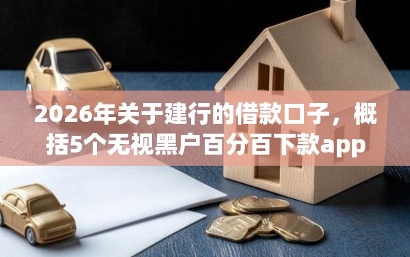 2026年关于建行的借款口子，概括5个无视黑户百分百下款app